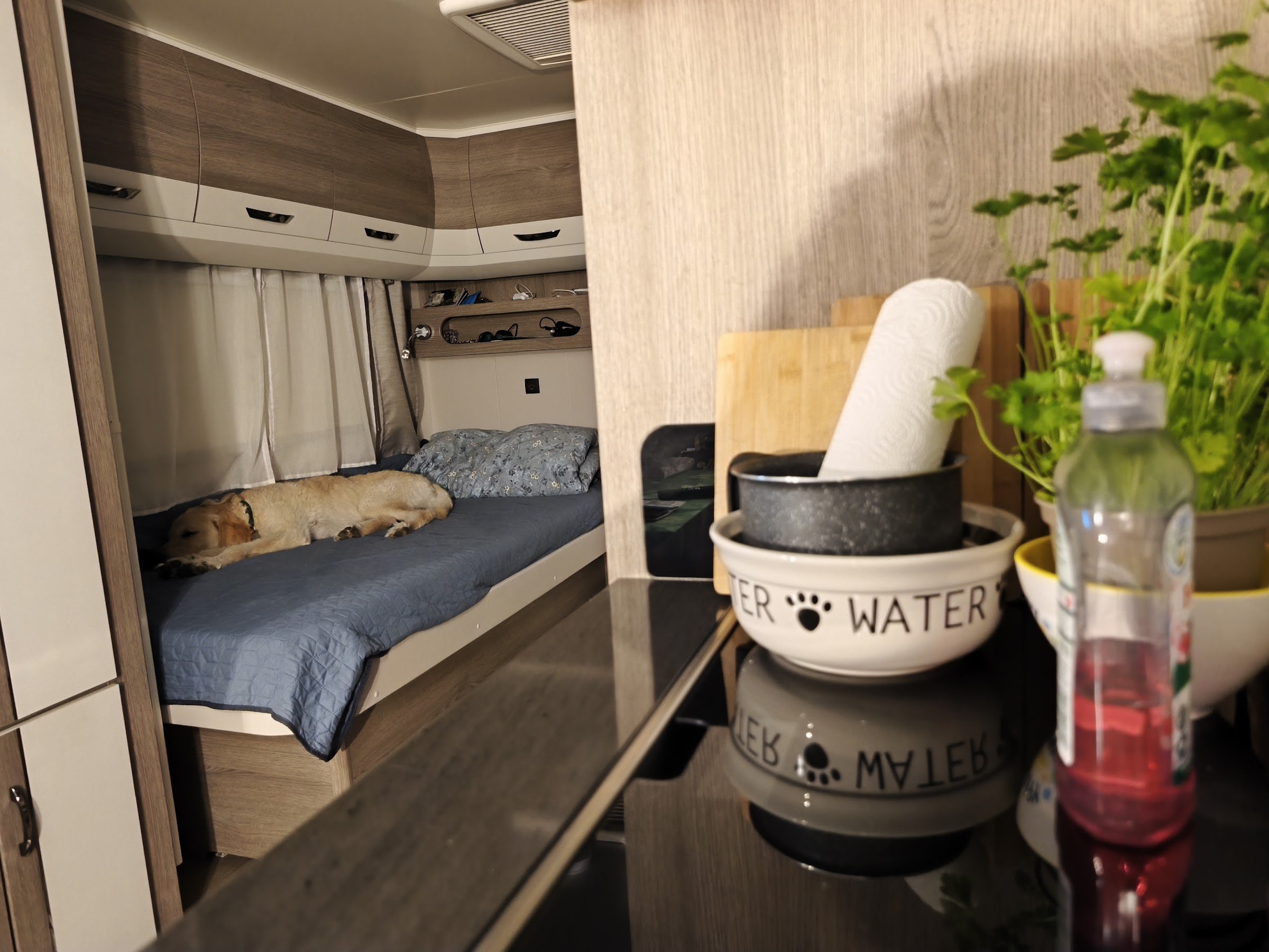 Camp MondSeeLand (Mondsee Lakeside Camping)